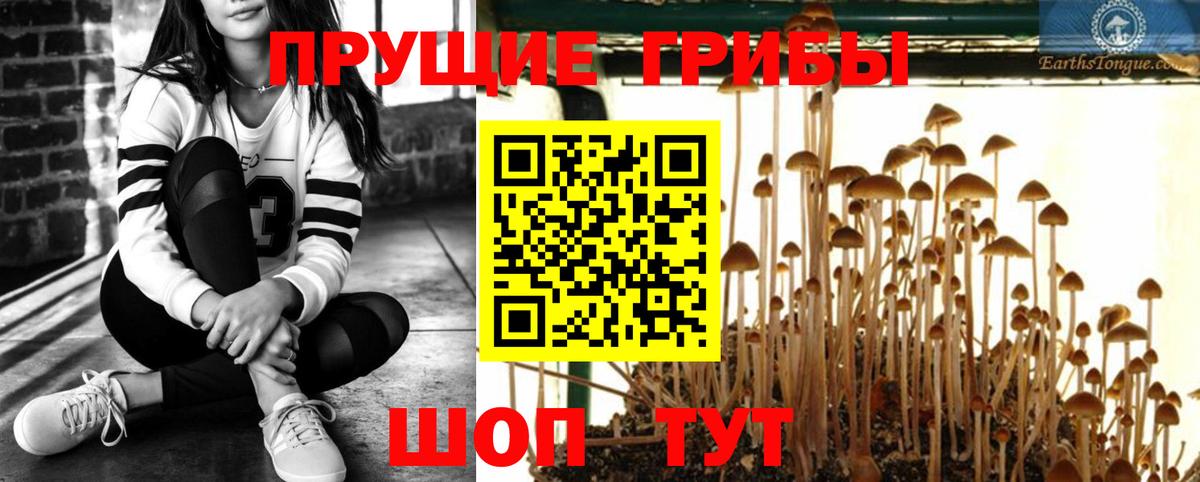 Галлюциногенные грибы Magic Shrooms  Галлюциногенные грибы GOLDEN TEACHER  Донецк  Вход с VPN 