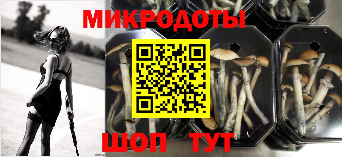 Псилоцибиновые грибы GOLDEN TEACHER Донецк